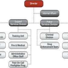Presents The Current Organizational Chart For The Download