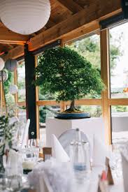 Ich war sofort von den kleinen bäumen ab 1992 arbeitete ich zusätzlich freiberuflich sieben jahre für das bonsai centrum heidelberg, mit dem damaligen besitzer paul lesniewicz, und war für. Heike Tobi Bonsaizentrum Heidelberg Atelier Hinterhaus