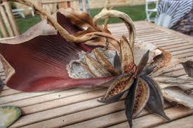 A Dried Table Arrangement Made Using Bark Palm Fronds Seed Pods And Such Floral Art Chocolate Art Crafts To Make