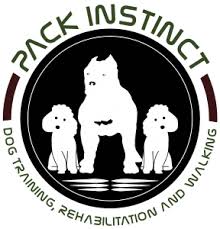 Welcome to instinct dog behavior & training llc. Book A Consultation Pack Instinct Dog Training Marbella