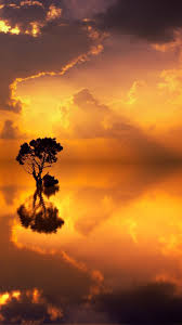 See more ideas about phone backgrounds, iphone wallpaper, phone wallpaper. Sunset Seascape Tree Reflection 4k Ultra Hd Mobile Wallpaper