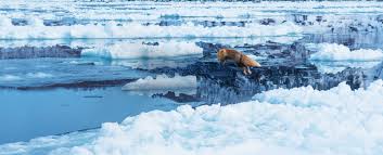 冬編 | 知床の楽しみ方 | 北海道 世界遺産 知床第一ホテル【公式】