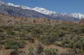 We did not find results for: Alabama Hills Recreation Area Lone Pine California Womo Abenteuer