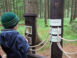 Versuche dieses arbeitsblatt zu lösen! Open Air Exhibition Ground Waldhusche Nationalpark Sachsische Schweiz
