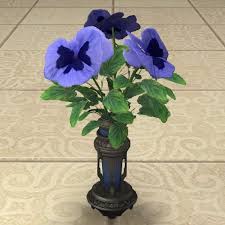 A simple basket of blooms that will work wonders in brightening up your home, despite not requiring a great deal of space. Blue Violas Organic Gardening Dubai Garden Violas