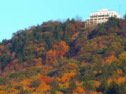 Alexis Smith and Mason Cheek's Wedding Website