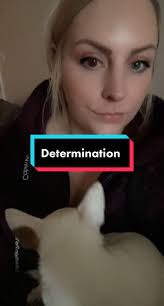 Sweater dog season 😂 #fyp