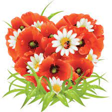 ⚠️ reprise des livraisons début septembre. Sticker Bouquet De Fleurs Coquelicot Color Stickers