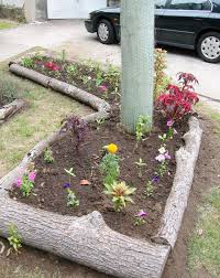 Gharpedia has given 20 amazing garden edging ideas that you can do by yourself to keep plants in different segments and create a stunning landscape. 42 Garden Bed Edging Ideas That You Need To See