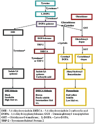 Glutathione As A Skin Whitening Agent Facts Myths Evidence And Controversies Indian Journal Of Dermatology Venereology And Leprology