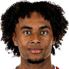 Over the past few years this league has evolved dramatically and clubs are now targetting young and talented players from all over the world, increading the diversity of the league and adding a lot of quality to the league. Joshua Zirkzee Football Manager 2021