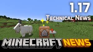 Forge/optifine are known to cause this problem every now and then. Java Edition 1 17 Minecraft Wiki