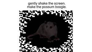 Gently Shake The Screen, Make The Possum Boogie | Know Your Meme