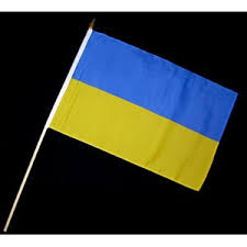 According to a ukrainian article sympathizing with protasevich's. Stock Flagge 30 X 45 Ukraine