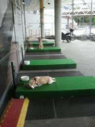 En Una Tienda Ikea En Alemania Hay Estacionamientos Para Perros Para Que Sus Duenos No Los Dejen En Los Automovil Hotel Para Perros Parque Para Perros Perros