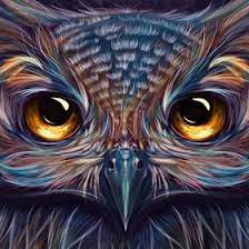 15 Cafepress Shop Ideas Cafe Press Custom Journals Coil Binding