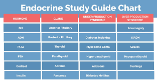 Endocrine System Chart Nclex Quiz