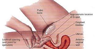 Jika setelah istibra' keluar cairan yang meragukan apakah air. Teknik Betul Memasukkan Zakar Kedalam Faraj Isteri Agar Lebih Nikmat I Am Zaudin