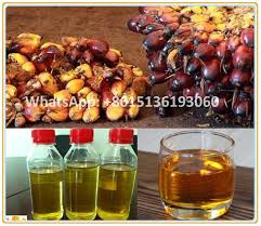 Special De Fruits De Palme Huile De Noyau D Extraction De Pressage Machine Avec Prix Usine Buy Machine De Traitement D Huile De Palme Machine De Pressage D Huile De Palme Machine D Extraction D Huile De Palme