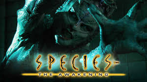 Mattson was discovered in her early teens by one of the biggest modeling agencies in sweden and began a modeling career. Is Movie Species Iv The Awakening 2007 Streaming On Netflix
