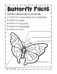 Pin On Butterfly Lesson