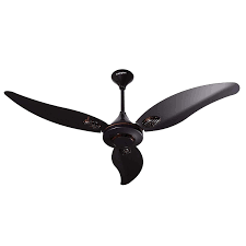 The havells ceiling fans are an imperative part of every home and are built to be energy efficient. Crompton Devine 48 Inch Decorative Ceiling Fan Roast Brown Pronomina Store