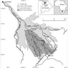 Image result for Bergia pentheriana