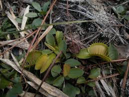 Camping trip for science nerdery: Fall break 2012