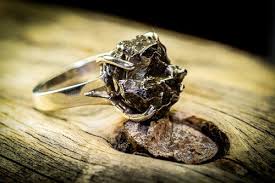 Meteorite Meteorite Ring Silver Meteorite Asteroid Ring Etsy Silver Rings Meteorite Ring Silver Rings Handmade