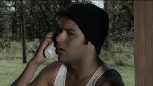 Four Sheets to the Wind (2007)