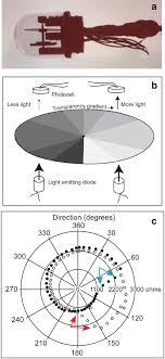 Set up a pir sensor detector that has a security light attached to it so that the light is activated when heat is detected. An Overview Of Behavioral Physiological And Environmental Sensors Used In Animal Biotelemetry And Biologging Studies Animal Biotelemetry Full Text
