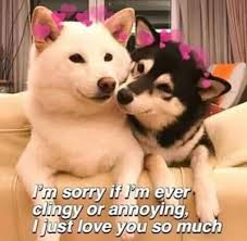 Wholesome Memes Tumblr Wholesome Memes Cute Love Memes Love You Meme