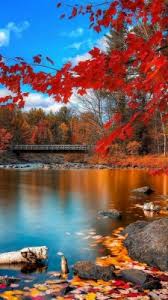 Maybe you would like to learn more about one of these? Ultra Hd Iphone Wallpaper 4k 1440x2560 Wallpaper Teahub Io