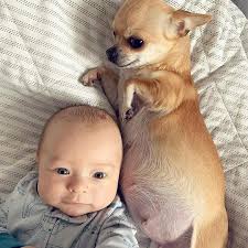 𝗔𝗡𝗬𝗢𝗡𝗘 𝗡𝗘𝗘𝗗 𝗧𝗛𝗜𝗦 𝗝𝗨𝗦𝗧 𝗪𝗥𝗜𝗧𝗘 "𝗜 𝗪𝗔𝗡𝗧"