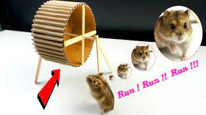 How To Make A Hamster Wheel Easy From Cardboard Diy Hamster Toy Youtube Diy Hamster Toys Hamster Toys Hamster Diy