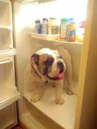 Call today and get a free quote. 22 Air Conditioning Humor Ideas Air Conditioning Humor Humor Hvac Humor