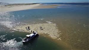 Balade Au Banc D Arguin Avis De Voyageurs Sur Pinasse Freebay Cap Ferret Tripadvisor