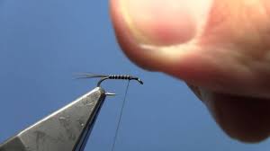 Fly Tying Video Skinny Nelson Nymph Youtube