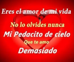 Imagenes De Eres El Amor De Mi Vida 5 Amor De Mi Vida Llegaste A Mi Vida Mensajes Romanticos