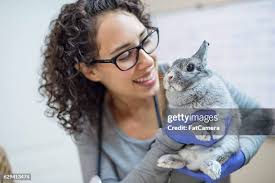 1,275 The Woman And The Hare Stock Photos, High-Res Pictures, and Images