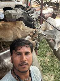 Today at Akrurghat Gaushala, under the scorching sun, our beloved gau-matas  stood in silent endurance—no cries, no complaints, only eyes full of trust.  The relentless heat has dried the land, and the