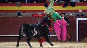 Image result for ivan fandiño