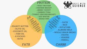 the best science based plan to get six pack abs