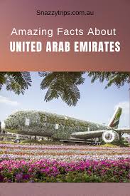 The United Arab Emirates Learn Amazing Facts About The United Arab Emirates That Will Surprise You Everything You United Arab Emirates Dubai Travel Travel