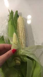 Maybe you would like to learn more about one of these? My Ear Of Corn Had A Baby Corn Growing Inside Of It Mildlyinteresting