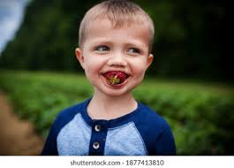 Strawberries Front Eyes Royalty-Free Images, Stock Photos & Pictures