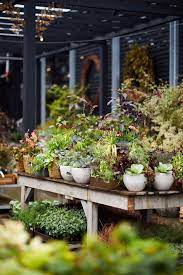 Philadelphia Story Terrain S New Shop On The Main Line Gardenista Container Gardening Container Garden Design Container Gardening Vegetables