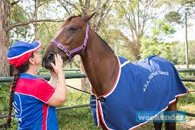 Tiger's still winning • The Western Weekender