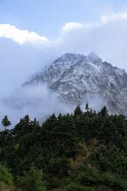 Hiker Exploring Misty North Cascades Landscape · Free Stock Photo