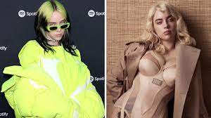 Billie eilish boibs